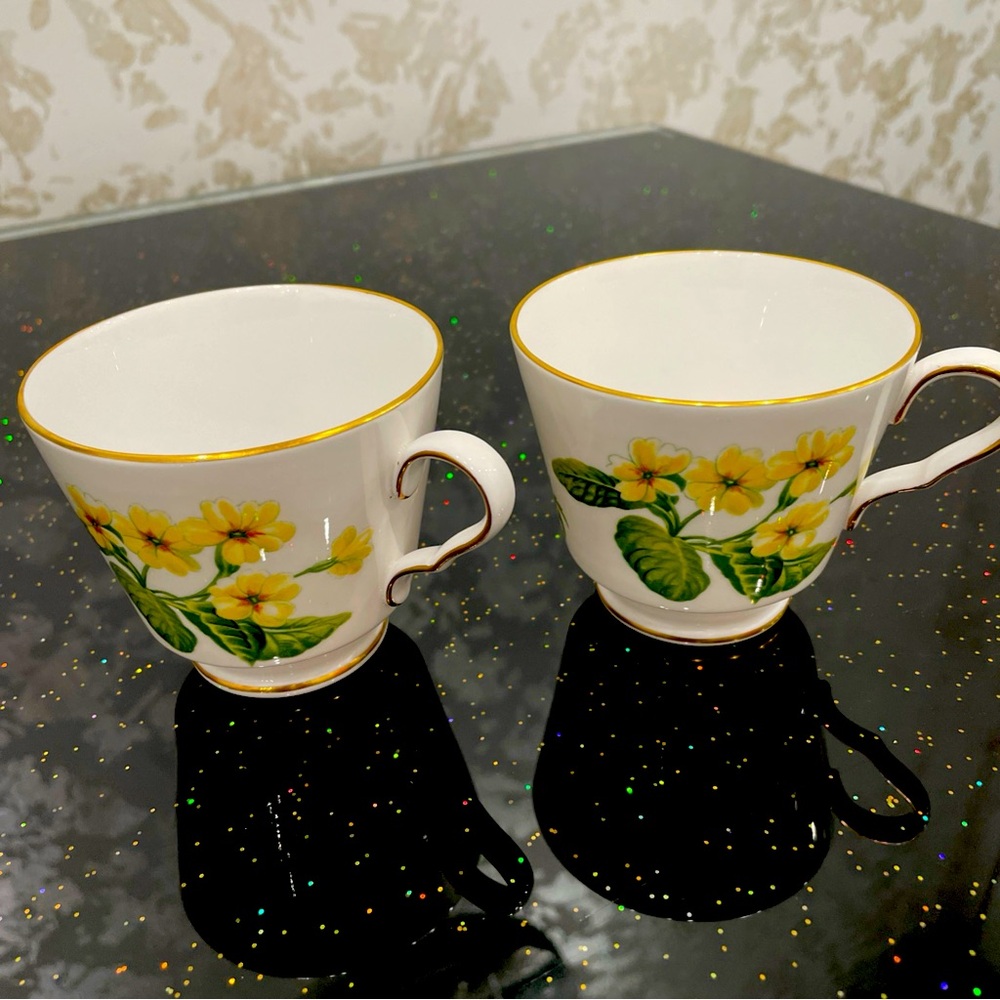 2 RARE! Spode Country Lane Fine Bone China Cups. England.